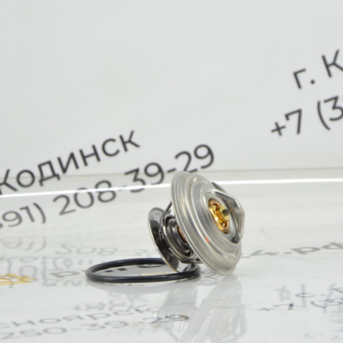 Термостат внутренний 79С WP1- CREATEK / CK-61800060172