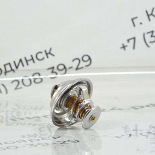 Термостат LW300F 630/648-1306004 860112178 (70C)